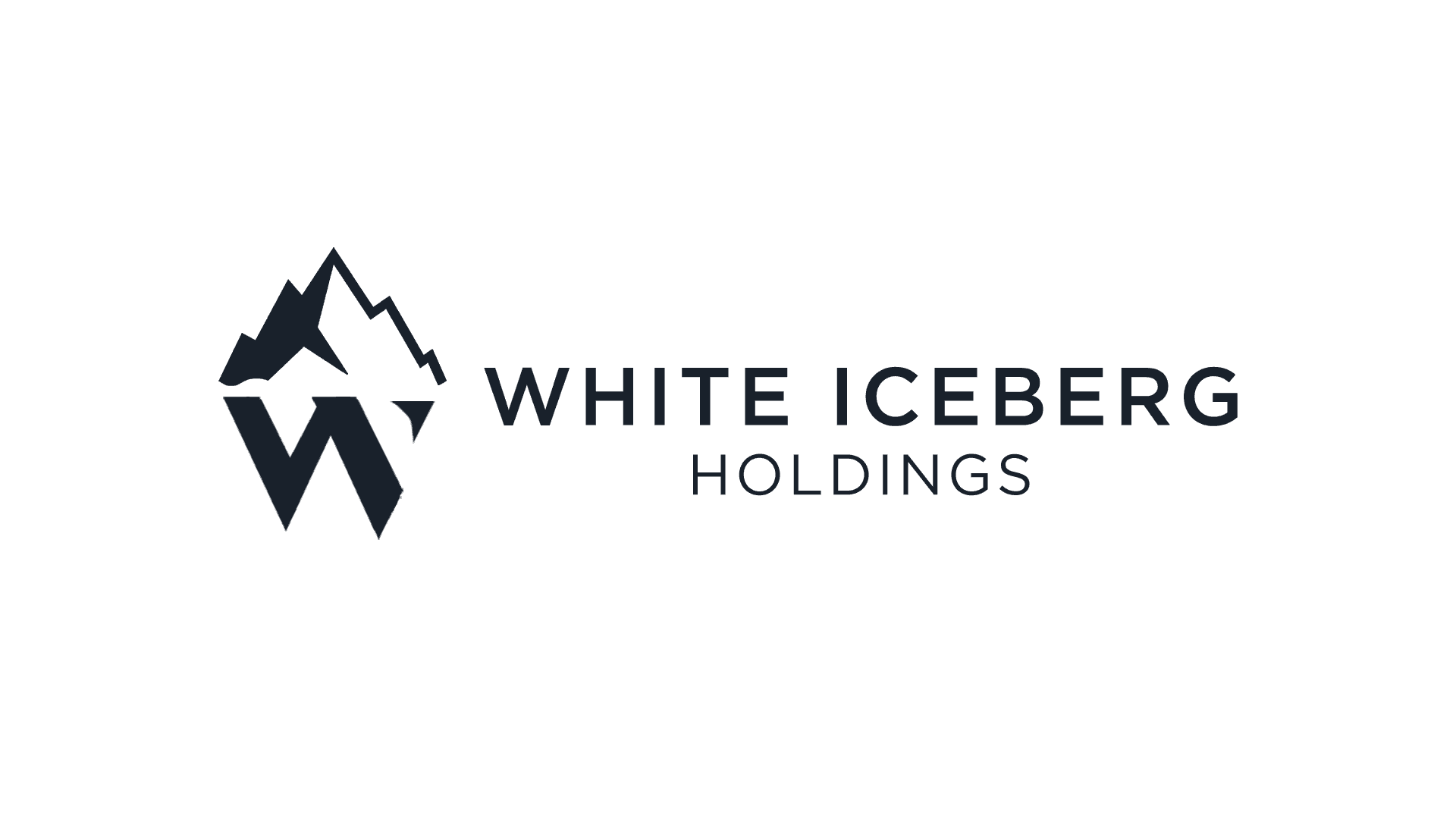 White Iceberg Holdings